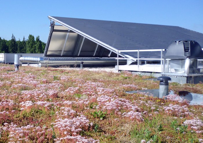 Flat green roof with HYDROPACK®