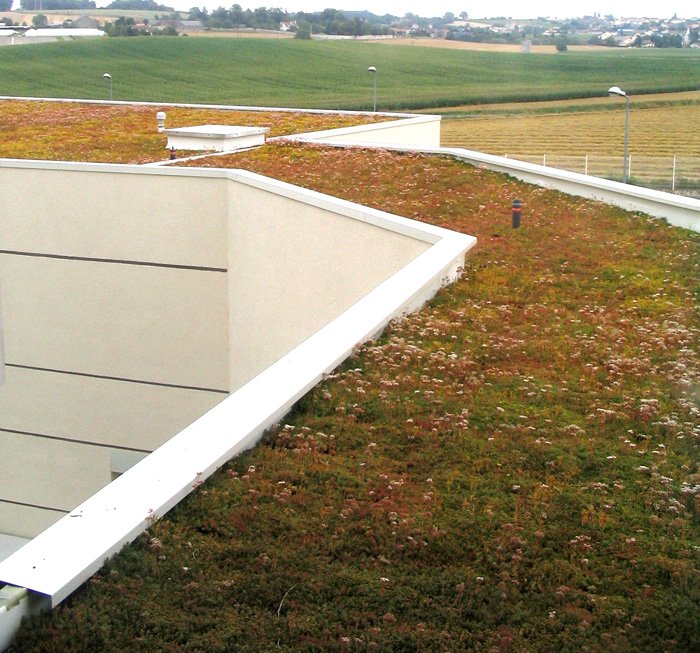 Green roof using the HYDROPACK® tray (FRANCE)