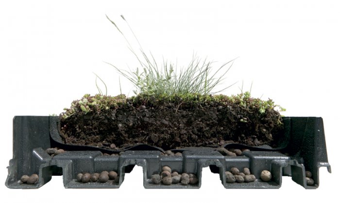 pre-cultivated green roof tray hydropack=