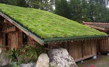 Steeply sloping green roof with the HYDROPACK® tray