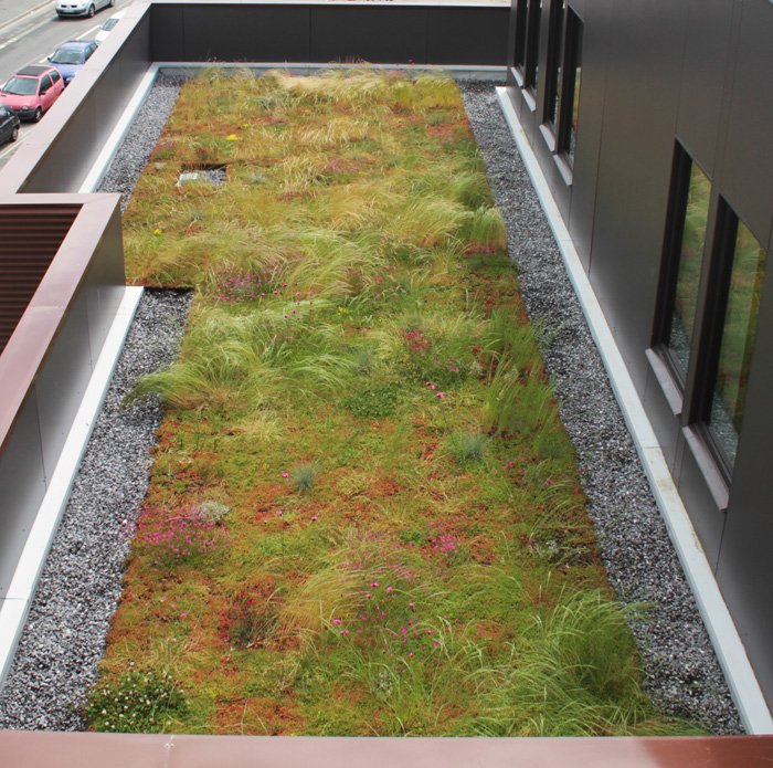 Green roof terrace with HYDROPACK® (FRANCE)