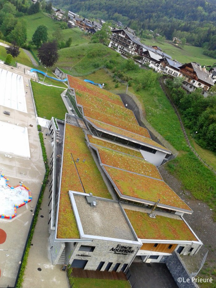 Steeply sloping green roof with HYDROPACK®, Morzine (74)
