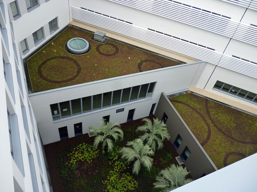 Roof vegetated on installation with i.D. FRAGMENTS, Lorient (56)