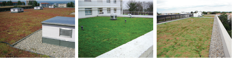 Exemples de réalisations de toiture végétale en couvert i.D. SEDUM