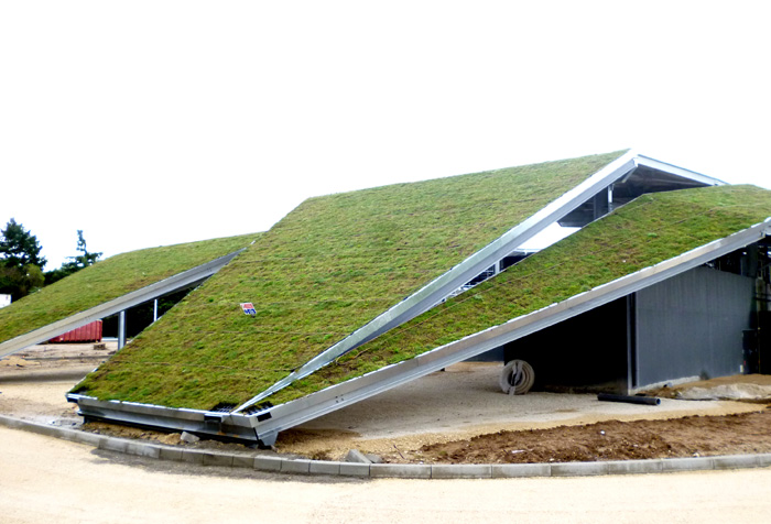 vegetated a steep pitch roof with HYDROPACK®