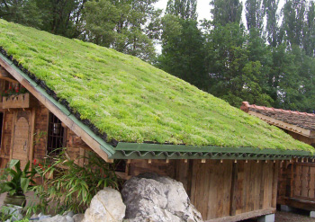 highly sloped green roof with HYDROPACK®