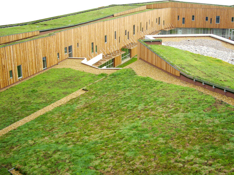 Green roof with i.D. MAT sedum mat in Nantes (44)