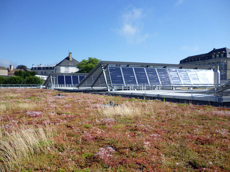 Green roof with i.D. MAT MIX-FLORE mat, Belleme (61)