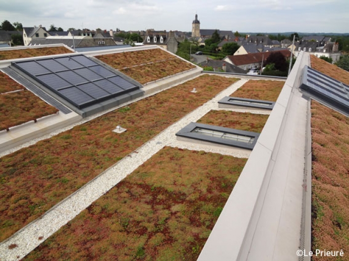What is an extensive Green roof?