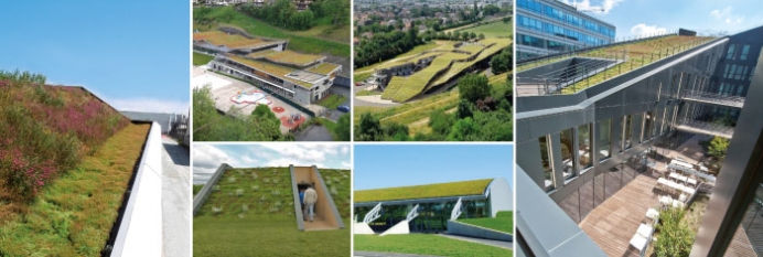 Green roof for pitched and steep roofs