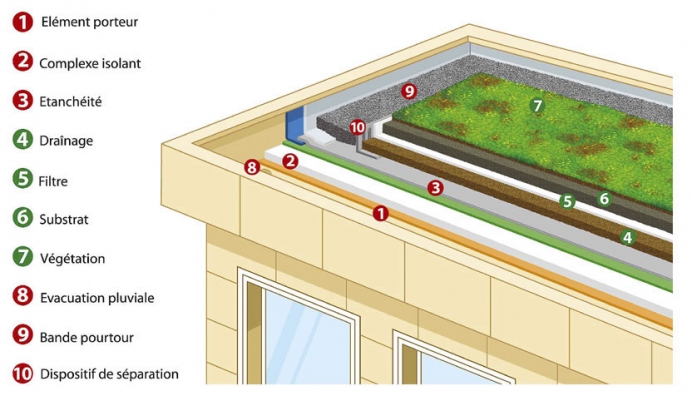 How to choose a green roof system?
