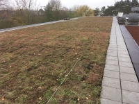 Installation in Gent of the first OASIS blue roof of Belgium.