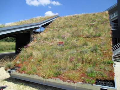 Steep pitched green roof with HYDROPACK®
