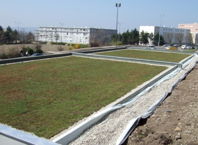 Green roofs with plants cuttings